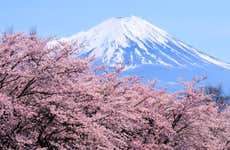 Excursão ao monte Fuji e ao lago Ashi